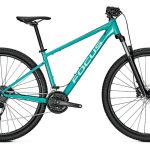 Focus Whistler 3.6 – 29 Zoll – Diamant – 2025