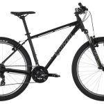 Carver Strict 100 – 29 Zoll – Diamant – 2024