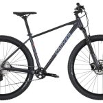 Carver Strict 170 – 29 Zoll – Diamant – 2024