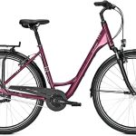 Raleigh Chester 7 – 28 Zoll – Tiefeinsteiger – Aktion