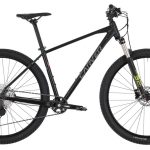 Carver Strict 150 – 29 Zoll – Diamant – 2023