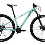 Liv Tempt 2 – 29 Zoll – Diamant – 2024