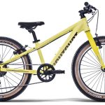 Eightshot Coady 20 SL – 20 Zoll – Diamant – 2025