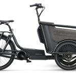 Batavus Fier-3 Env – 500 Wh – 20 Zoll – Dreirad – 2023