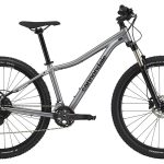 Cannondale Trail 5 – 29 Zoll – Diamant – 2024