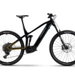 Haibike Alltrail 10 black/ninja gold/grey 2026