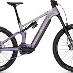 Focus Sam 8 Lilac matt/Darklilac matt 2027