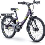 Raymon TwoRay 2.5 Street – 20 Zoll – Tiefeinsteiger – 2024
