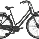 Gazelle HeavyDutyNL – 28 Zoll – Tiefeinsteiger – 2025