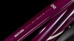 Cube Nature ONE Allroad amarone´n´lunar Trapeze 2026 – Image 3