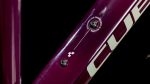 Cube Nature ONE Allroad amarone´n´lunar Trapeze 2026 – Image 5