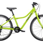 Naloo Chameleon 24″ MK2 – 24 Zoll – Diamant – 2023