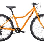 Naloo Chameleon 26″ MK2 – 26 Zoll – Diamant – 2023