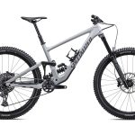 Specialized ENDURO COMP Dove Grey/Smoke