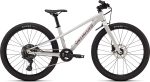 Specialized Riprock 24 Dlmmet/Qtzmet 2026