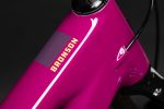 Santa Cruz Bronson 5 CC X0 AXS MX RSV Kalimotxo – Image 6