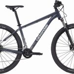 Cannondale Trail 6 Slate Gray