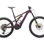 Specialized Levo Alloy Öhlins Coil LTD Chameleon