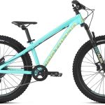 Dartmoor Hornet Junior 24"