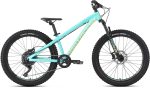 Dartmoor Hornet Junior 24"