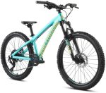 Dartmoor Hornet Junior 24" – Image 2