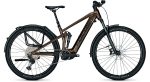 Focus Thron SQUARED 6.8 EQP Gold Brown