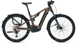 Focus Thron SQUARED 6.8 EQP Gold Brown – Image 2