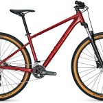 Focus Whistler 3.7 Rust Red