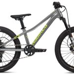 NS Bikes Eccentric 20 grey