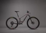 Santa Cruz Tallboy CC | X01 | taupe – Image 2
