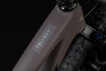 Santa Cruz Tallboy CC | X01 | taupe – Image 5