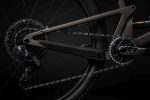 Santa Cruz Tallboy CC | X01 | taupe – Image 6