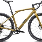 Specialized Diverge STR Expert gold