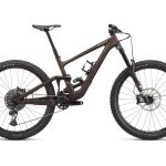 Specialized Enduro Expert Doppio/Sand