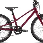 Specialized Jett Multispeed Raspberry/Uv Lilac 20"
